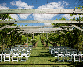 Latest Weddings Galleries