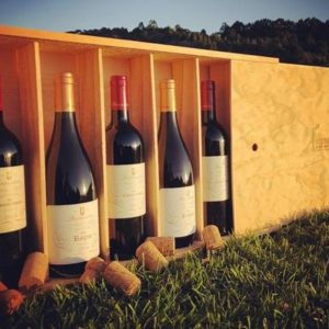Wooden Box 6bottles